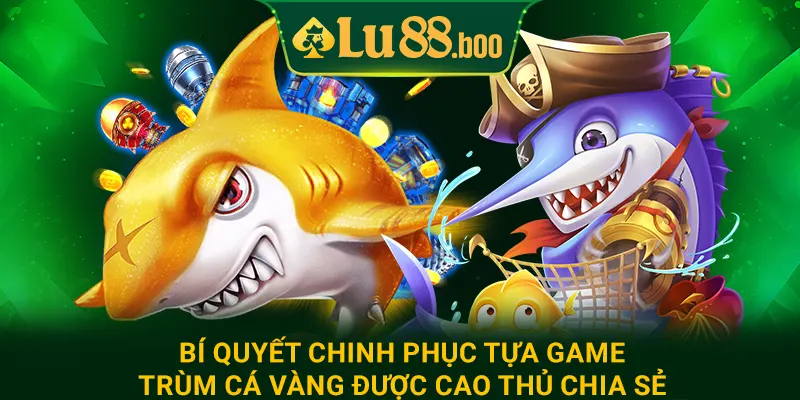 Bí quyết chinh phục game trùm cá vàng được cao thủ chia sẻ
