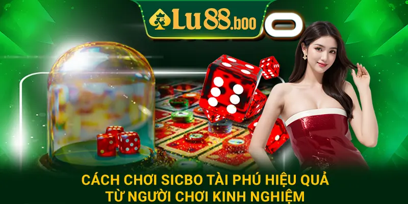 Cách chơi sicbo tài phú hiệu quả từ người chơi kinh nghiệm