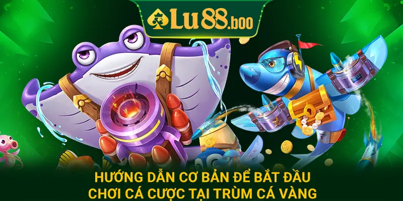Hướng dẫn cơ bản để bắt đầu chơi cá cược tại trùm cá vàng